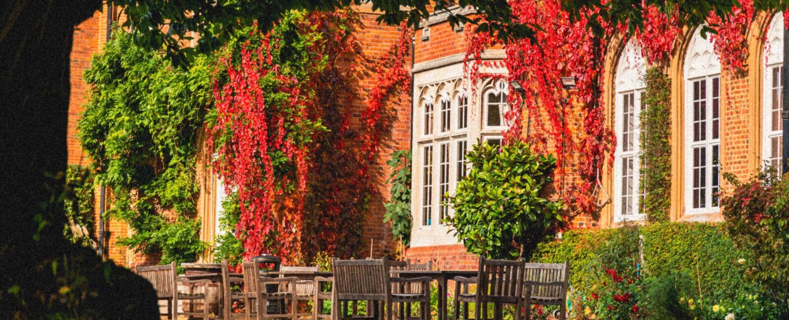 A view of Cumberland Lodge from under a tree in the gardens.