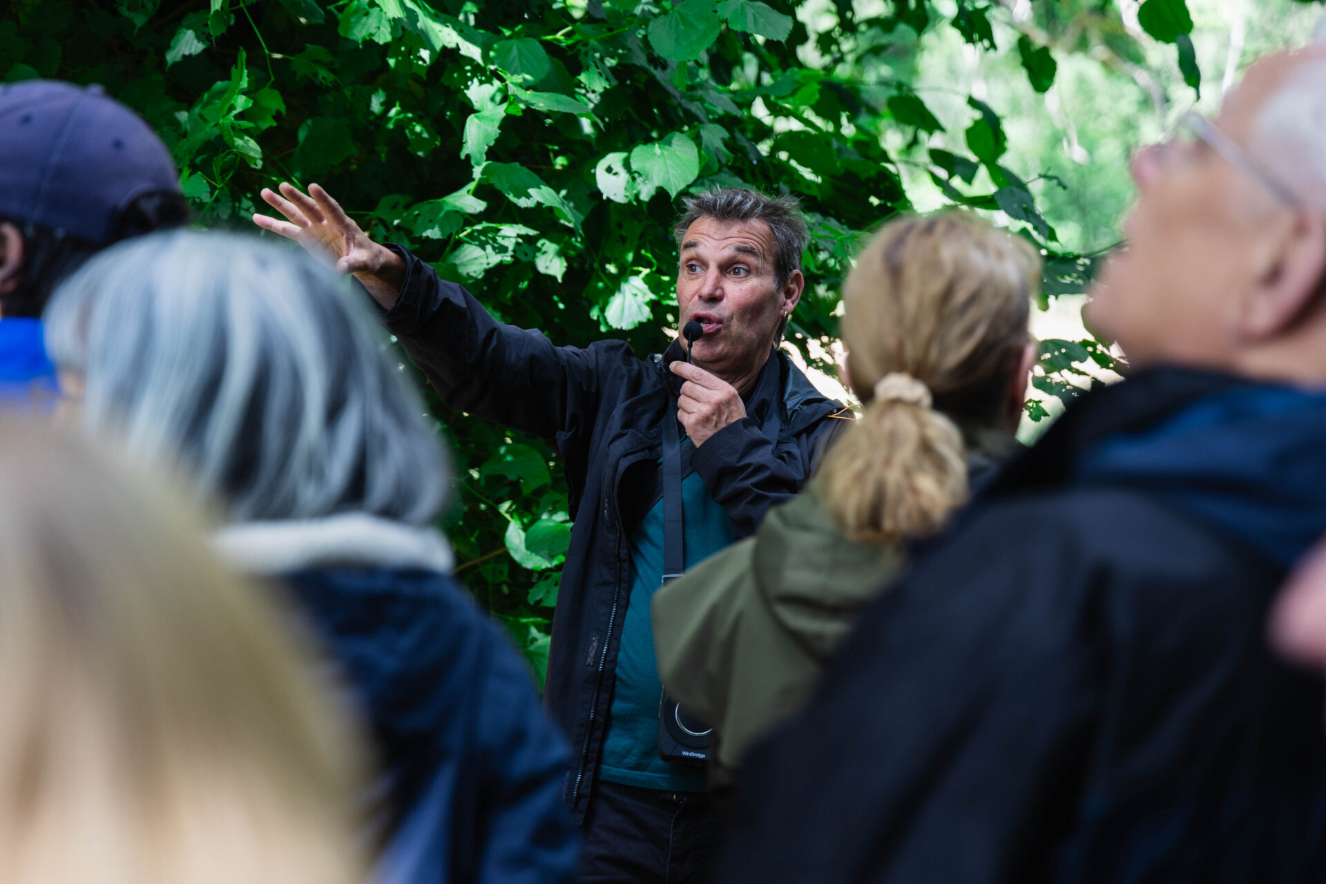 An Ancient Tree walk with Julian Hight